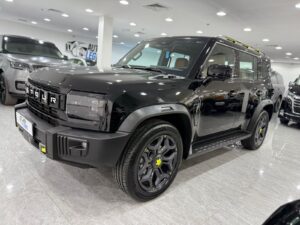 2024 T2 Luxury (2)